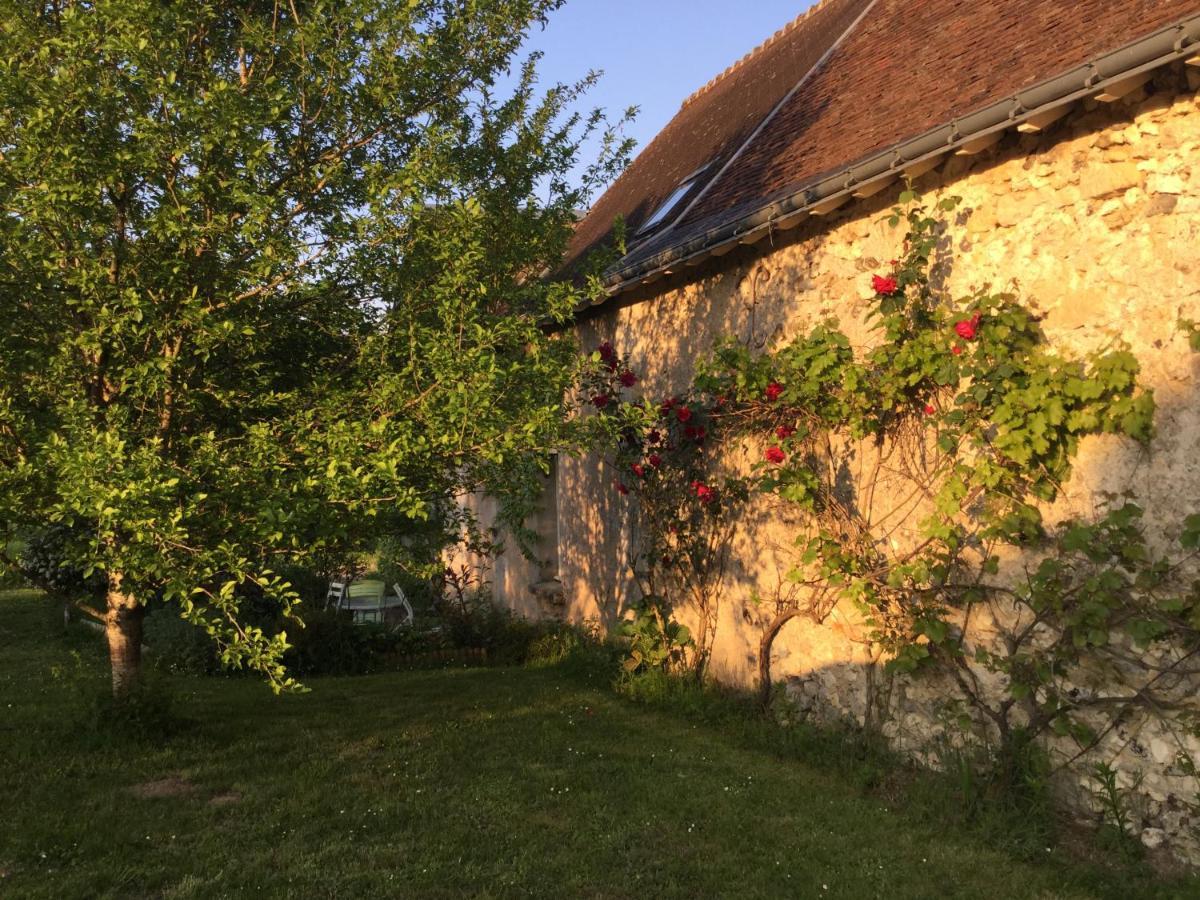 Chambres D'Hotes La Ferme Du Grand Launay Semblançay 외부 사진