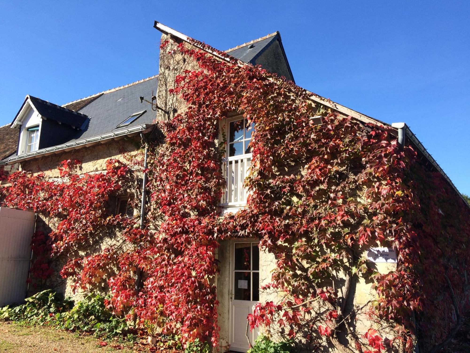 Chambres D'Hotes La Ferme Du Grand Launay Semblançay 외부 사진