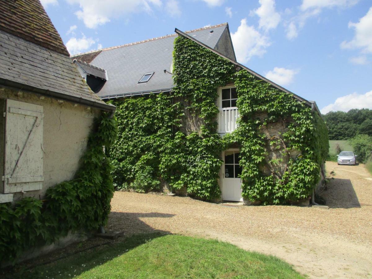 Chambres D'Hotes La Ferme Du Grand Launay Semblançay 외부 사진